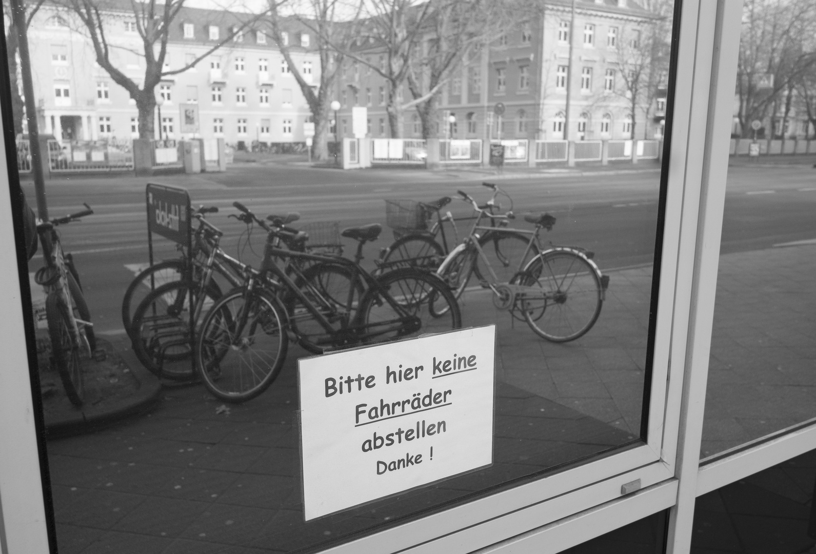 Immer die Radfahrer!