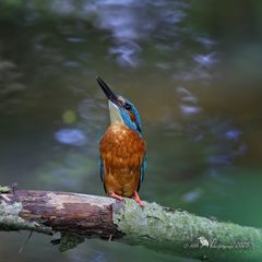 Immer diese Flugzeuge