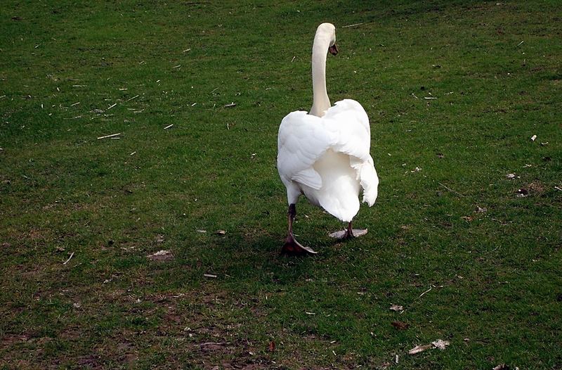 immer diese Fotografen.......