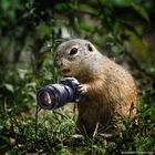 Immer diese nervigen Paparazzi mit ihren Kameras!