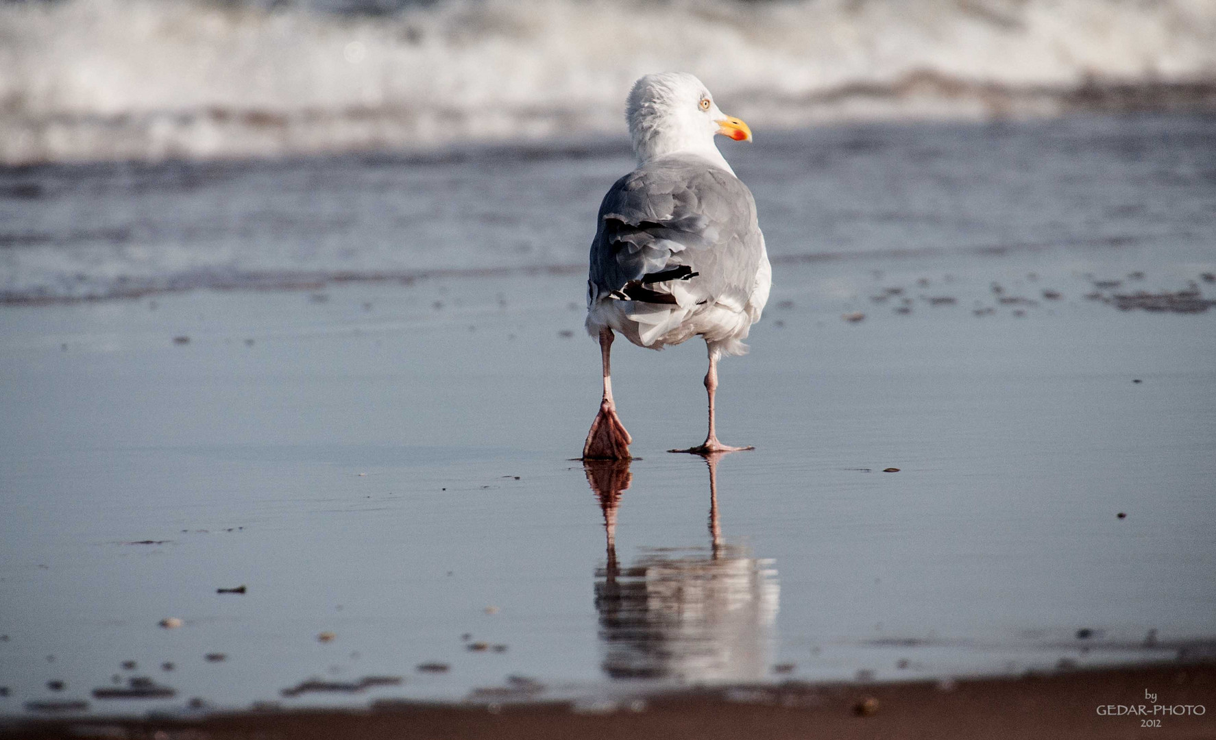 .... immer diese Paparazzis!