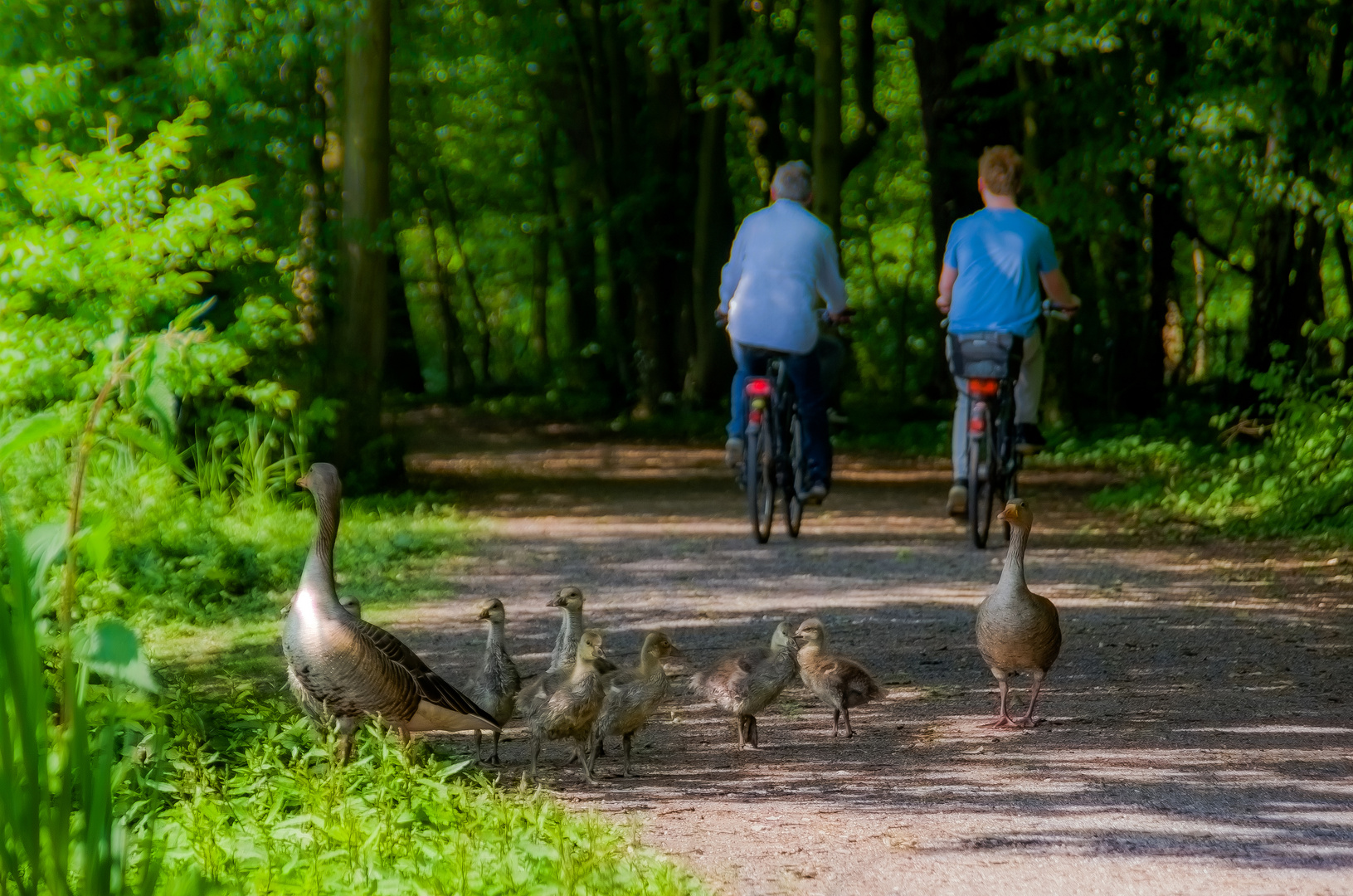 Immer diese Radfahrer