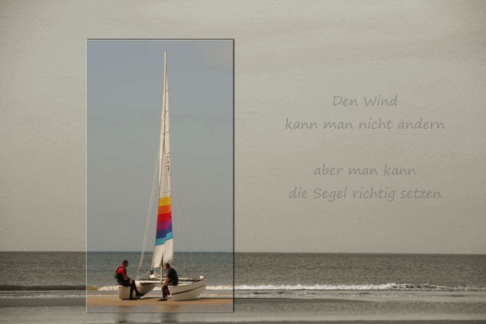 ...... immer dieser Wind.!!!