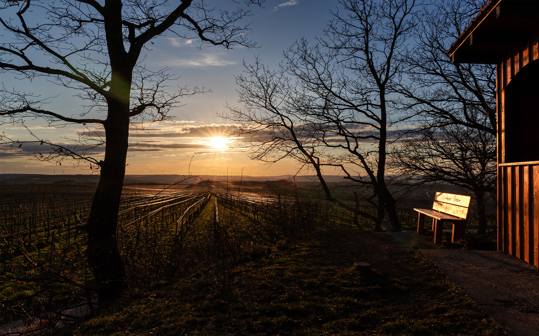 Immer ein Platz an der Sonne