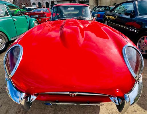 Immer eine Nasenlänge voraus!