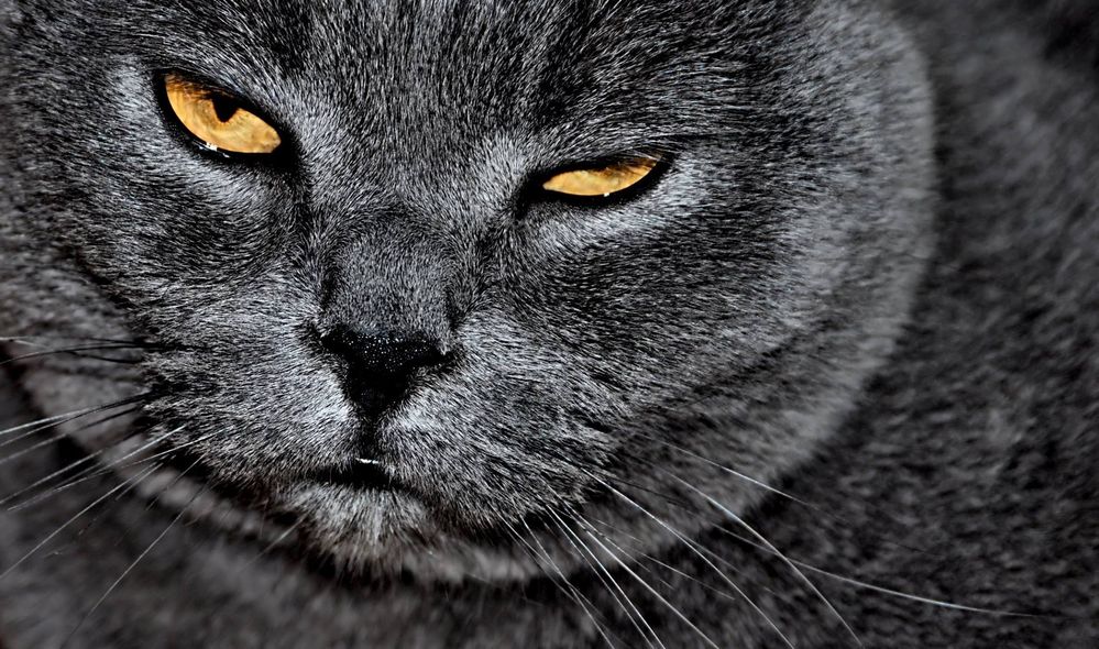 ...immer ewas launisch ;-)