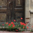 Immer frische Blumen vor der Tür