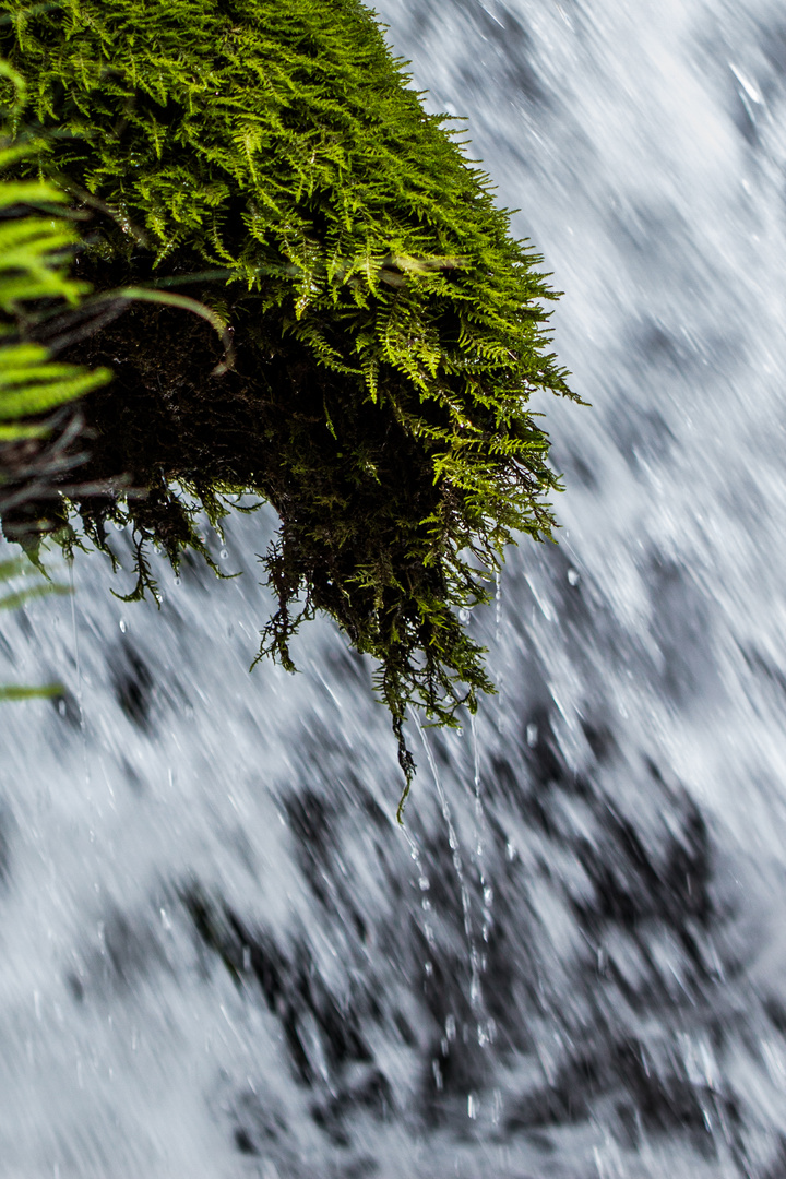 ...immer genügend Wasser