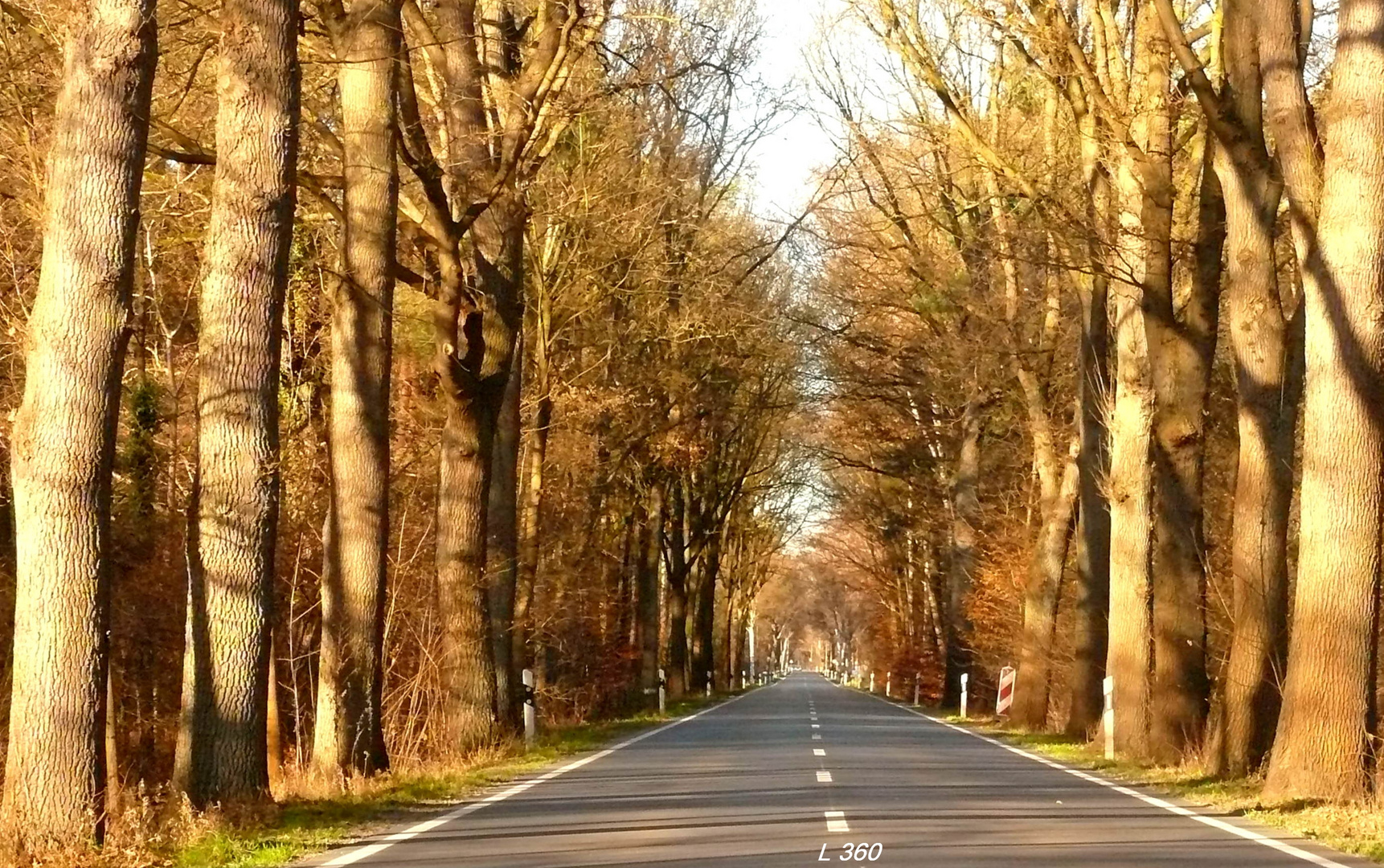 immer gerade aus der Straße nach..