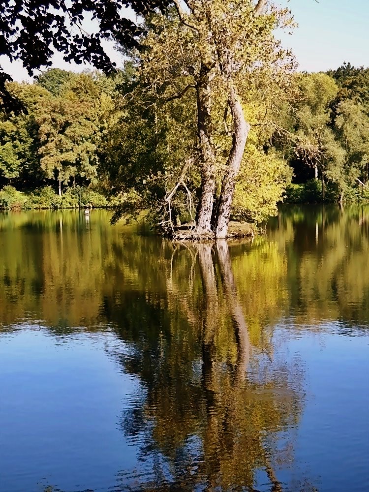 Immer gut mit Wasser versorgt . . .