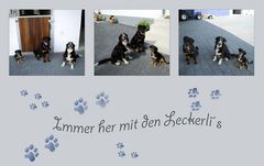 Immer her mit den Leckerli´s