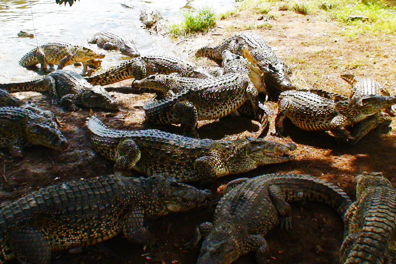 Immer Hunger !!! ( Cuba )