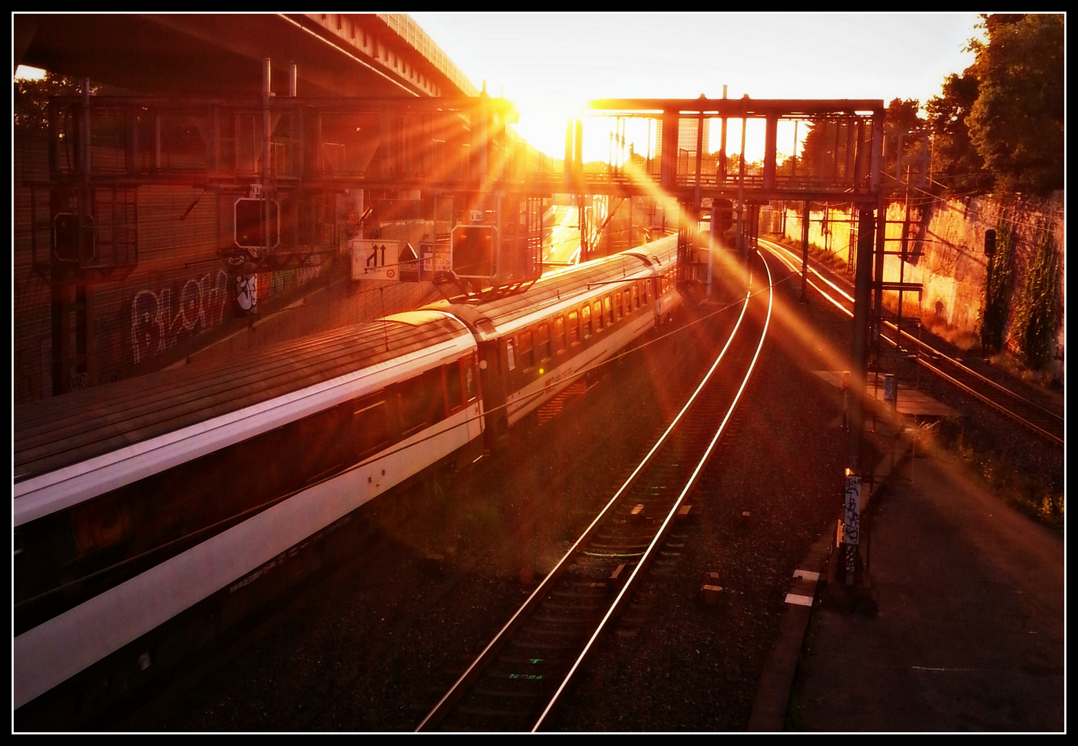 Immer in Richtung Sonne