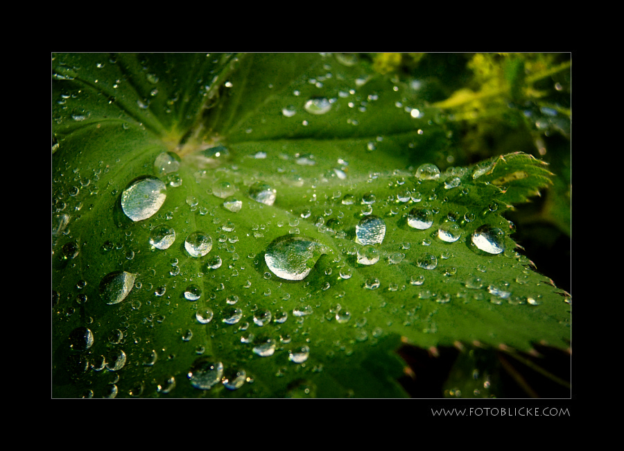 Immer mal wieder Regen