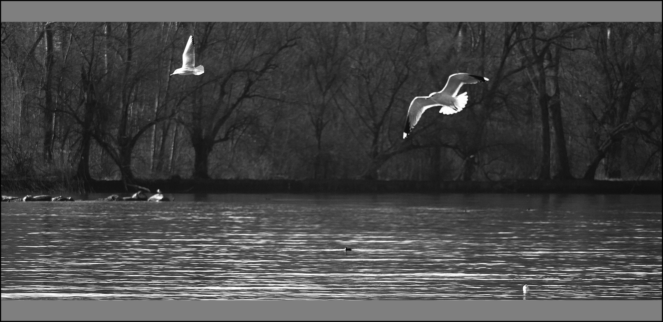 Immer mit dem Wind