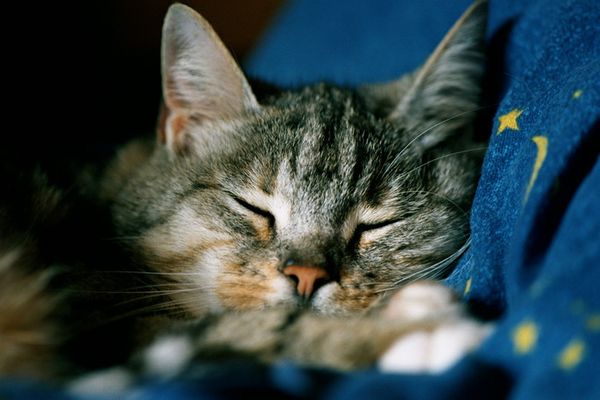 Immer mit der Ruhe.....