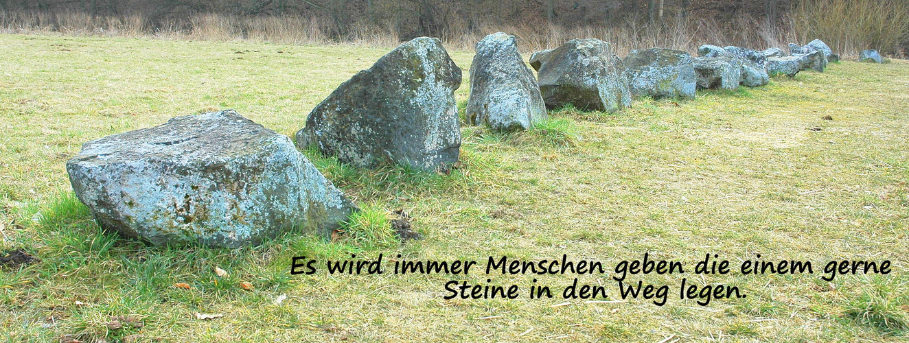 Immer neue Wege finden