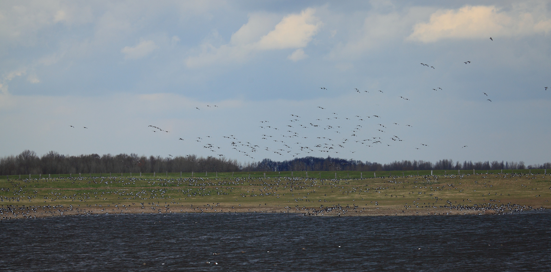 Immer noch am Niederrhein (DOKU)