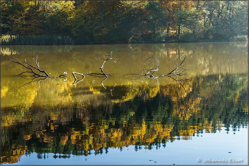 immer noch am Thalersee