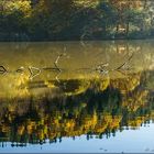 immer noch am Thalersee