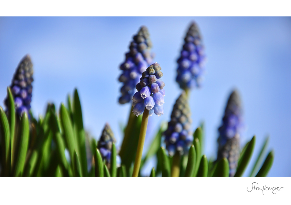 immer noch blauer himmel – sonne!