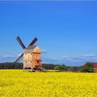 Immer noch Bock auf Rapsbilder ? Hier die "Bockwindmühle von Ketzür"