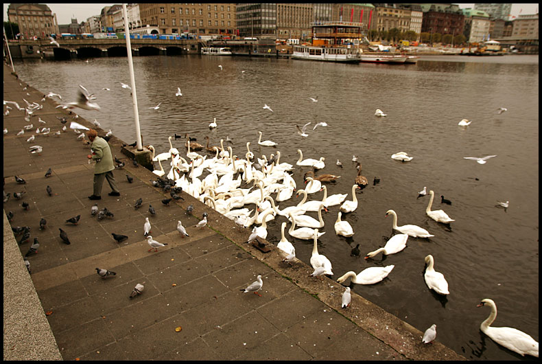 immer noch hamburg/schon wieder hamburg