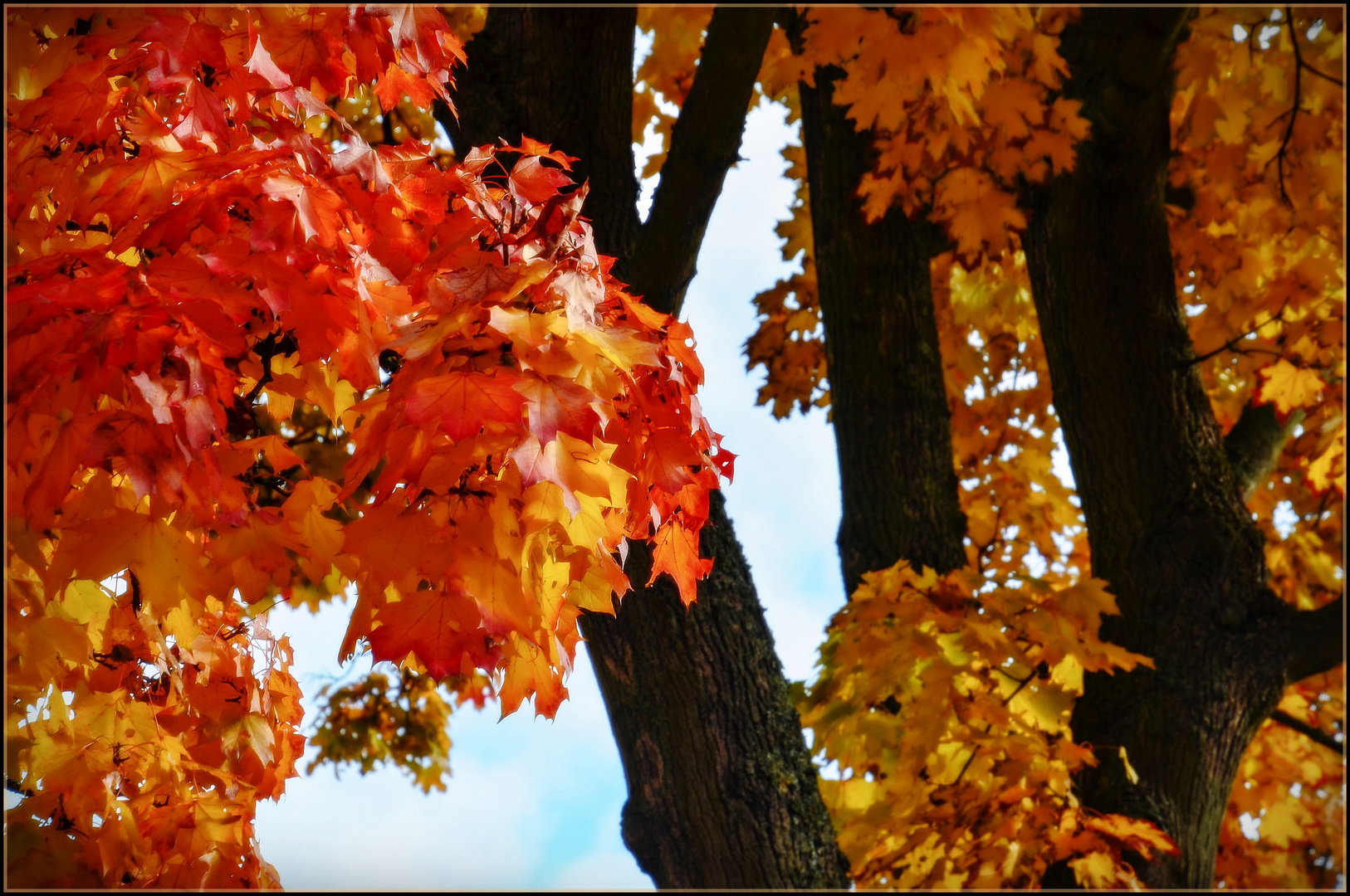 Immer noch HERBST