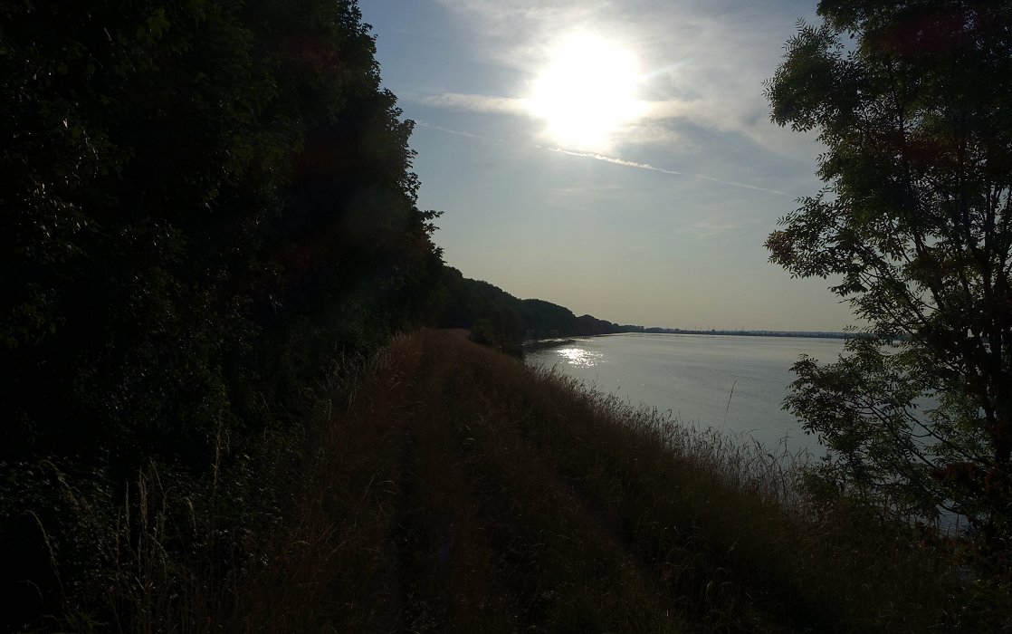 Immer noch in der Südsee