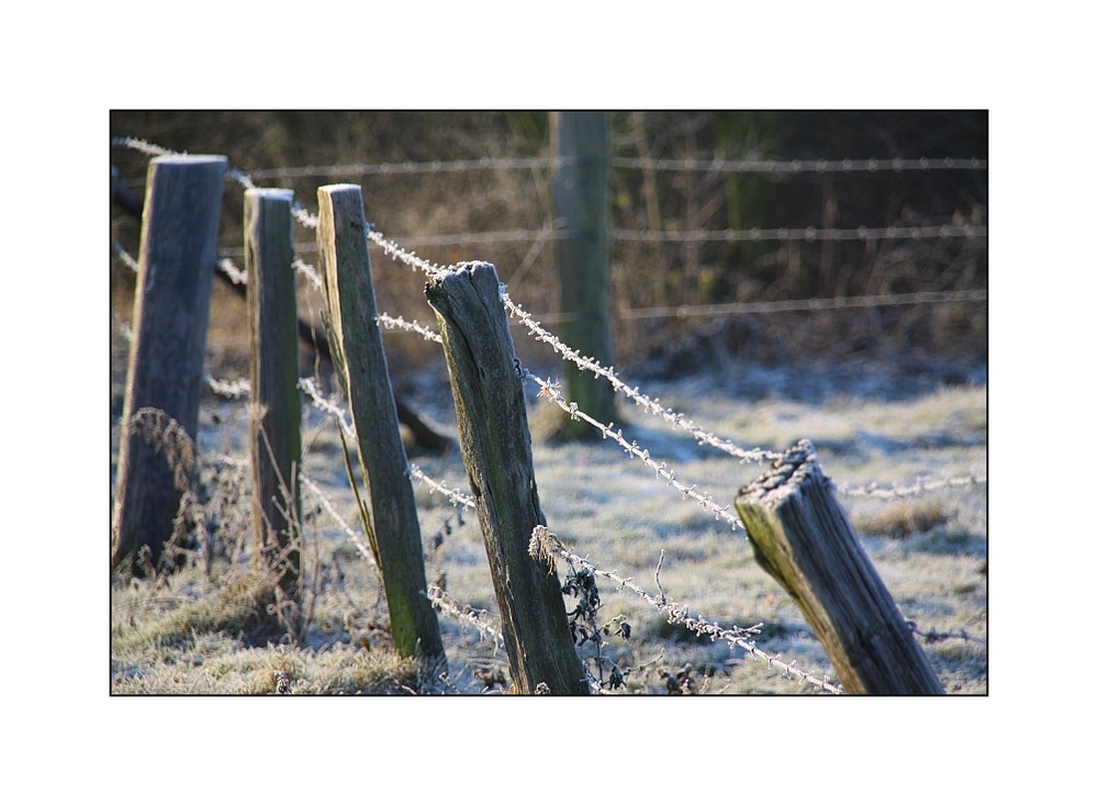 immer noch kein Frühling in Sicht...