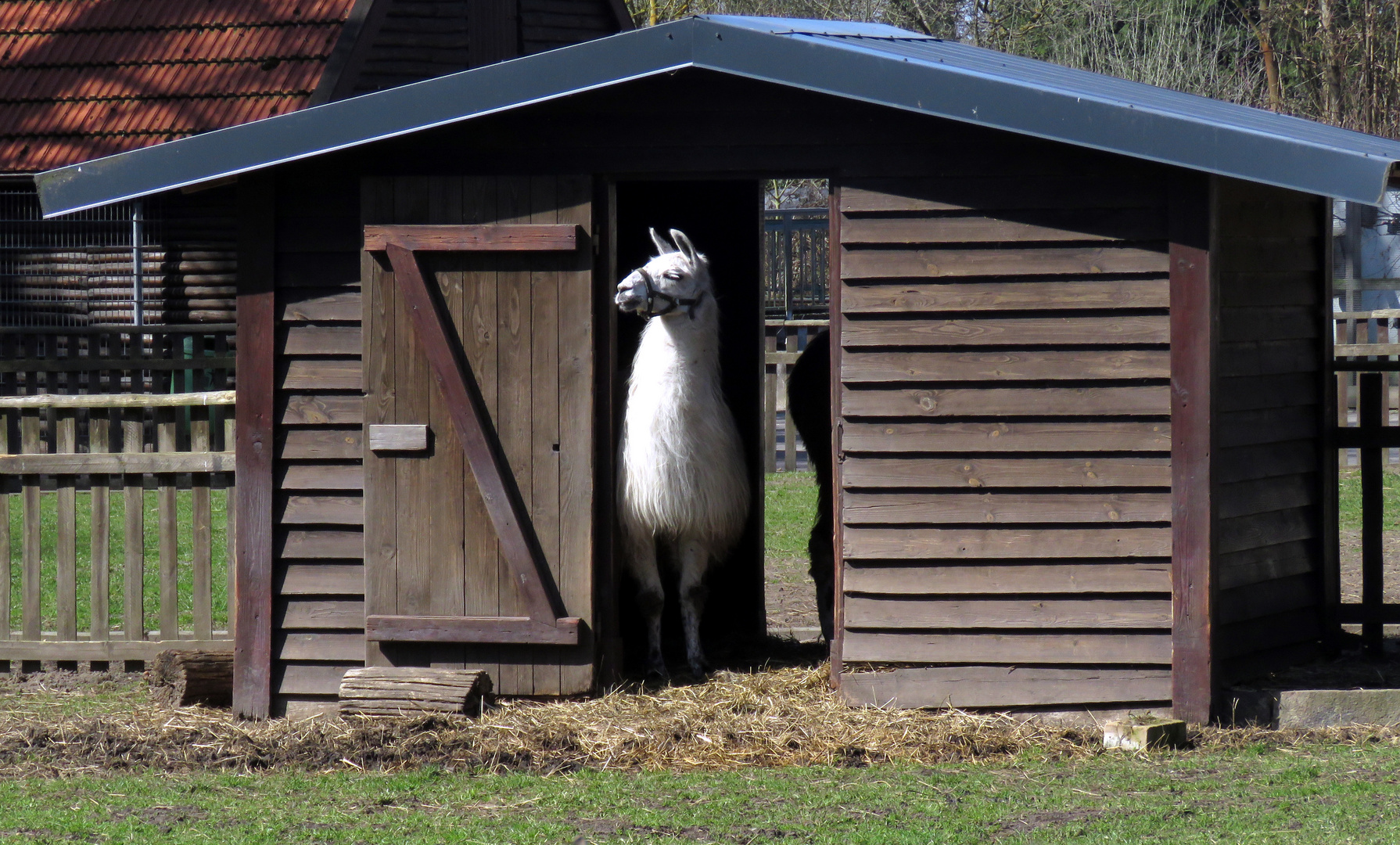 „Immer noch keine Tierparkbesucher,