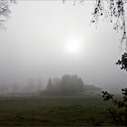 immer noch Nebel, aber ... ein Lichtblick