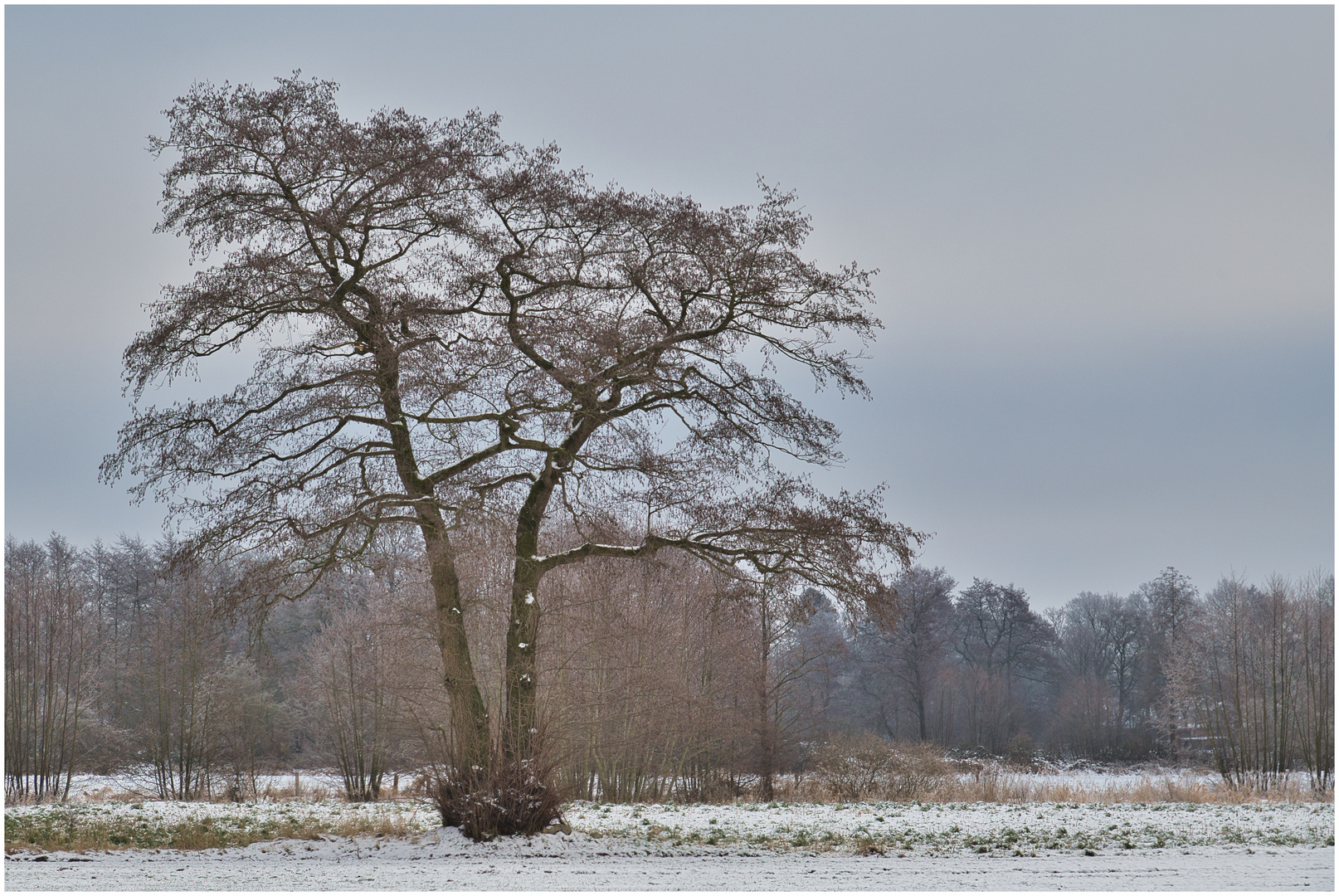 immer noch Schnee