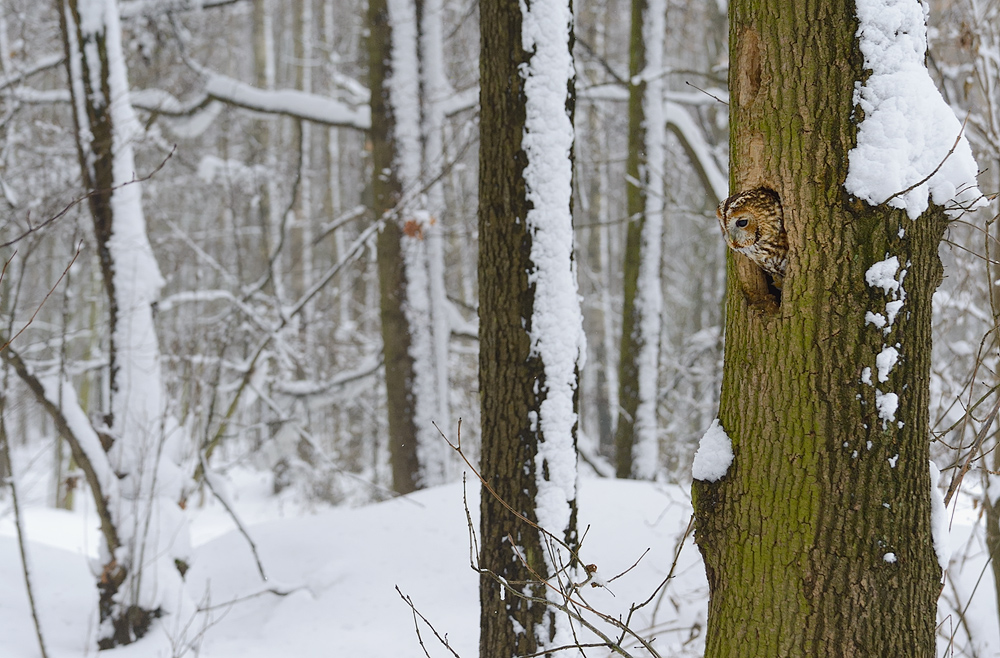 Immer noch Schnee draußen!