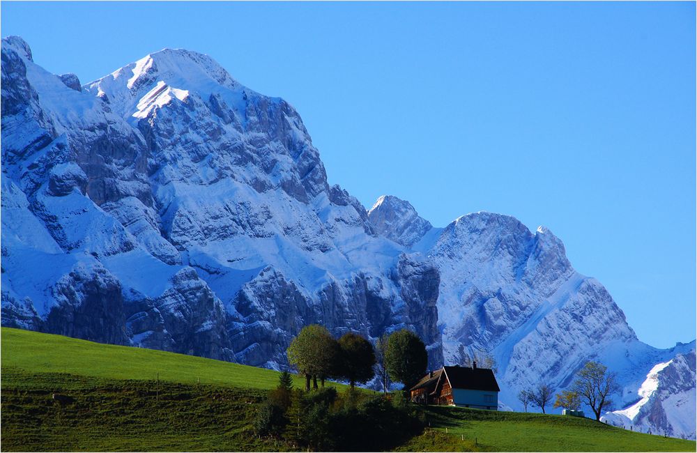 Immer noch Sommer oder bereits schon Winter ?