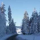 Immer noch tief verschneit und weit und breit kein Frühling in Sicht