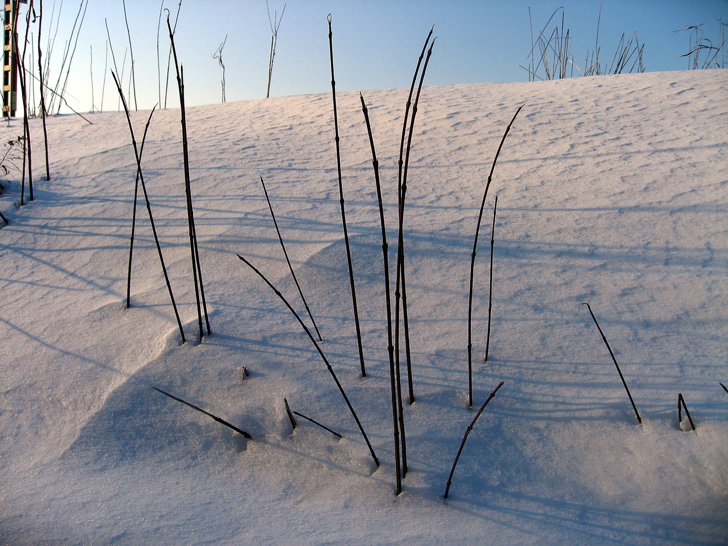 Immer noch Winter...