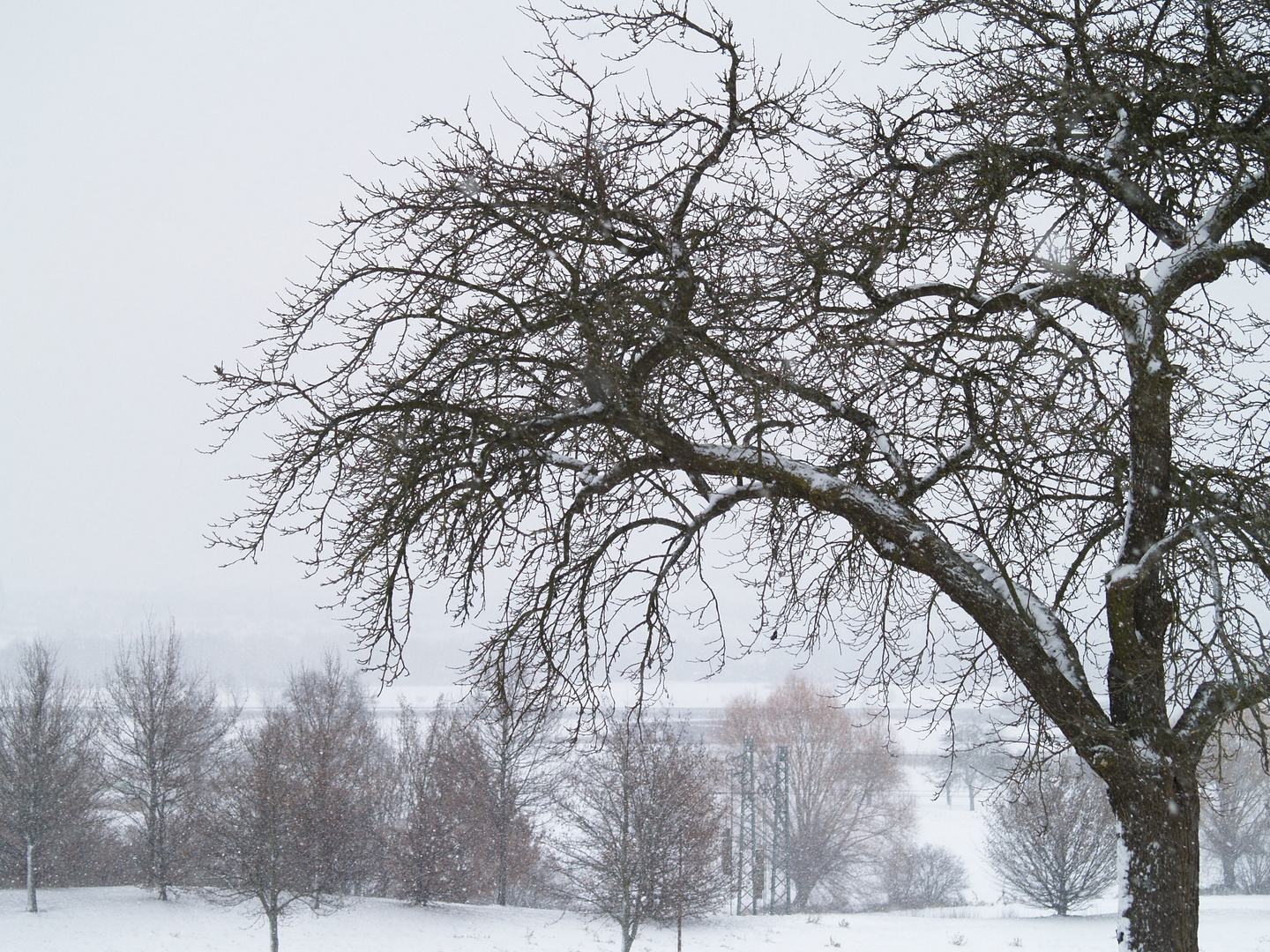 immer noch winter