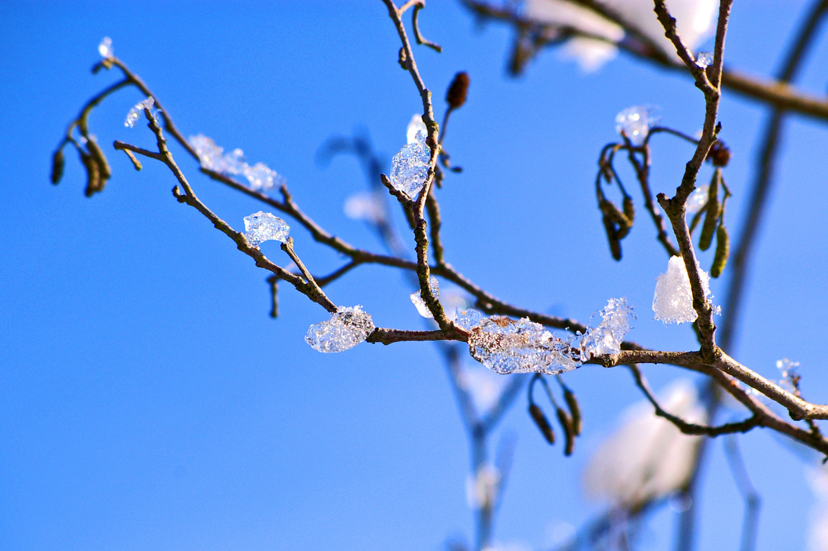 Immer noch Winter