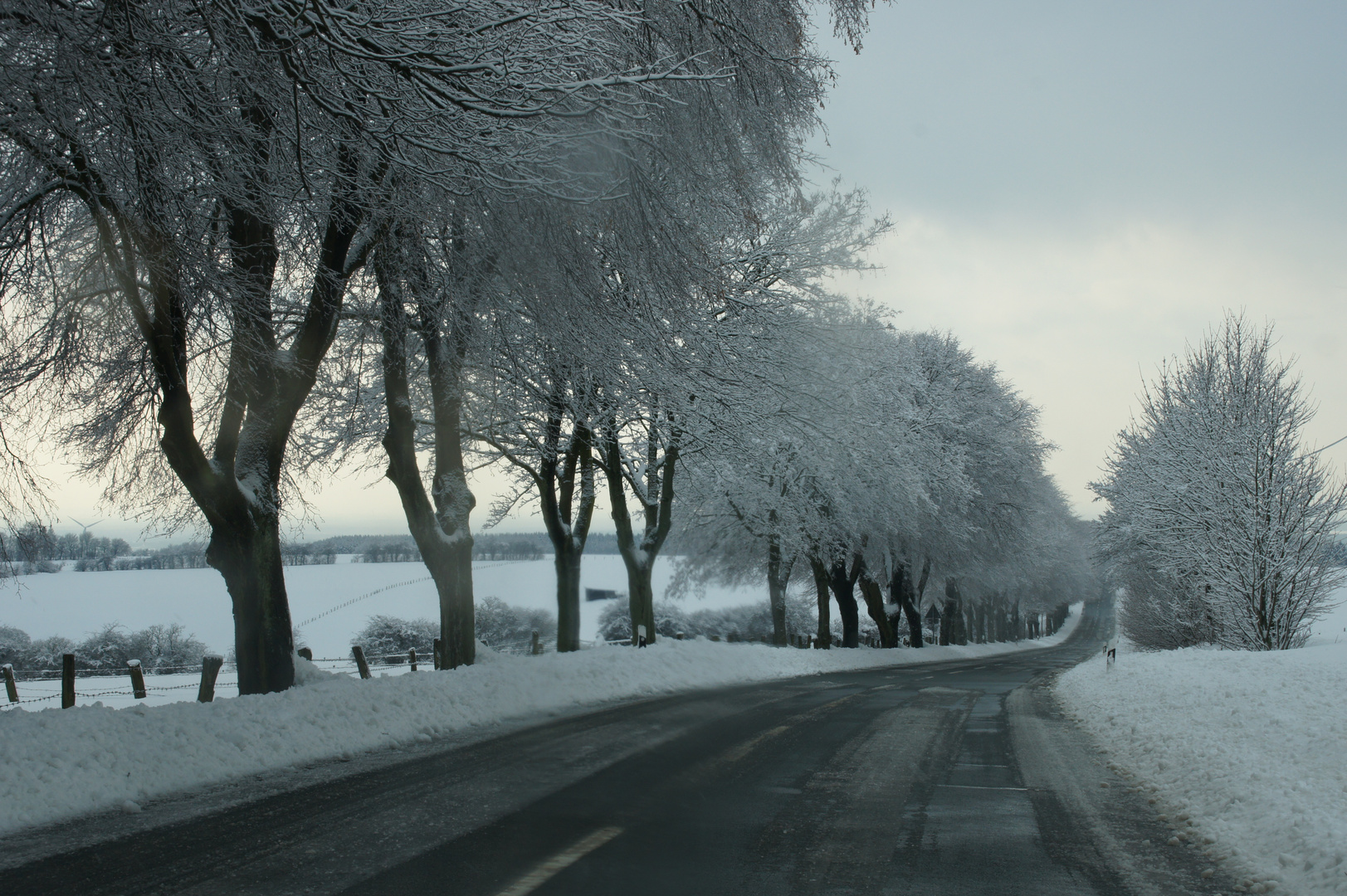 Immer noch Winter !!!!!!! ( Aber Tauwetter in                                   Sicht )