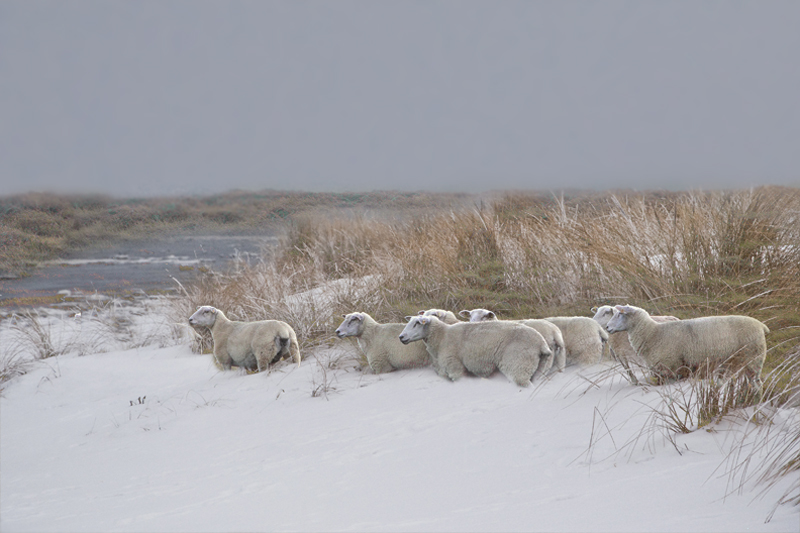 *immer noch Winter*