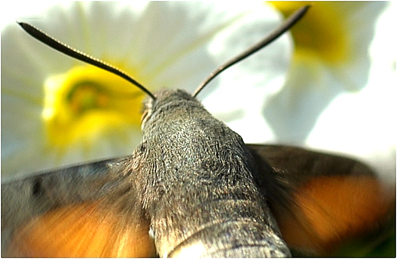 Immer nur frontal fotografieren ist auf Dauer auch langweilig...