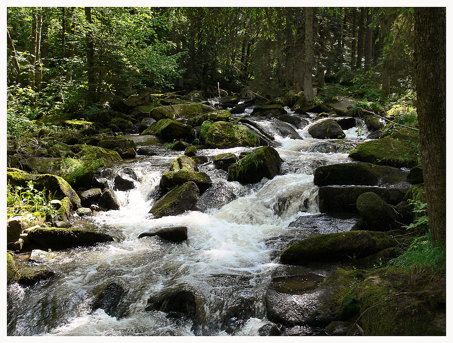 Immer rauscht das Wasser an der Saußbachklamm