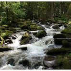 Immer rauscht das Wasser an der Saußbachklamm