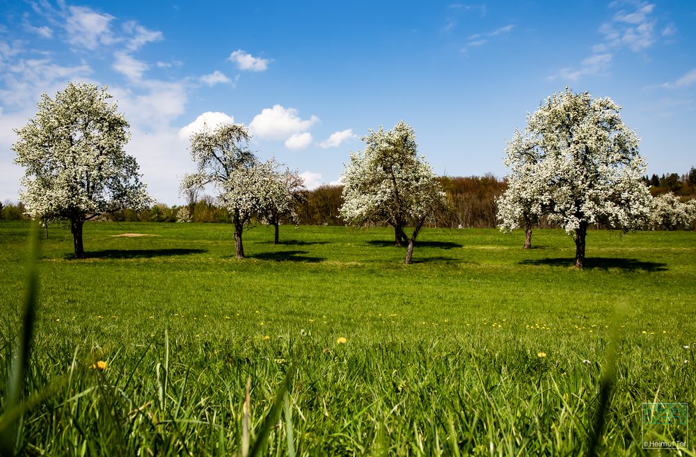 . . . immer schön Abstand halten