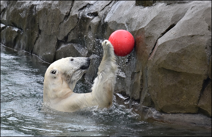 Immer schön am Ball bleiben...