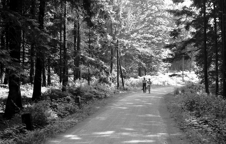 Immer schön brav auf der Straße bleiben....:-))