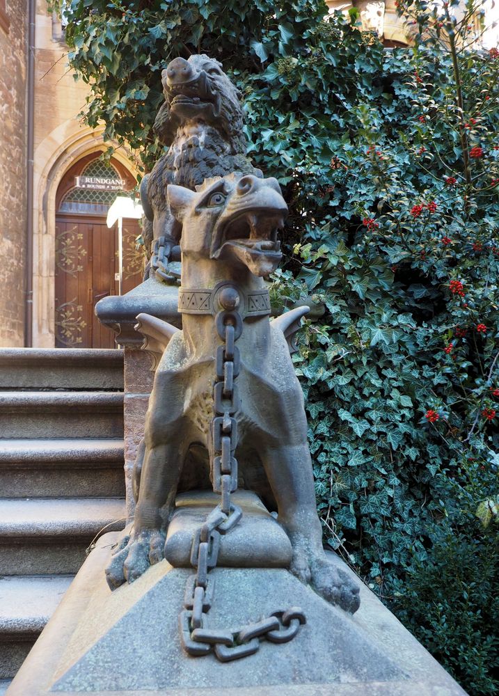 Immer schön brav sein.... Foto & Bild | tiere, stein, innenhof Bilder ...