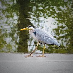 Immer schön der Linie nach...