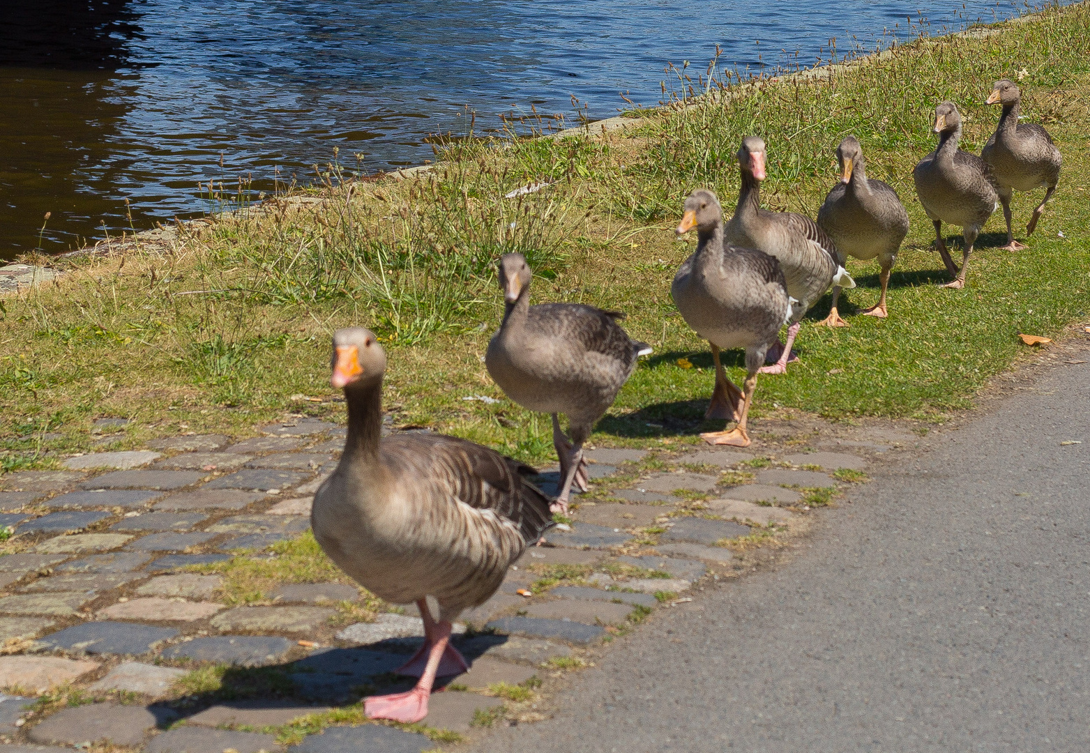 Immer schön der Reihe nach.